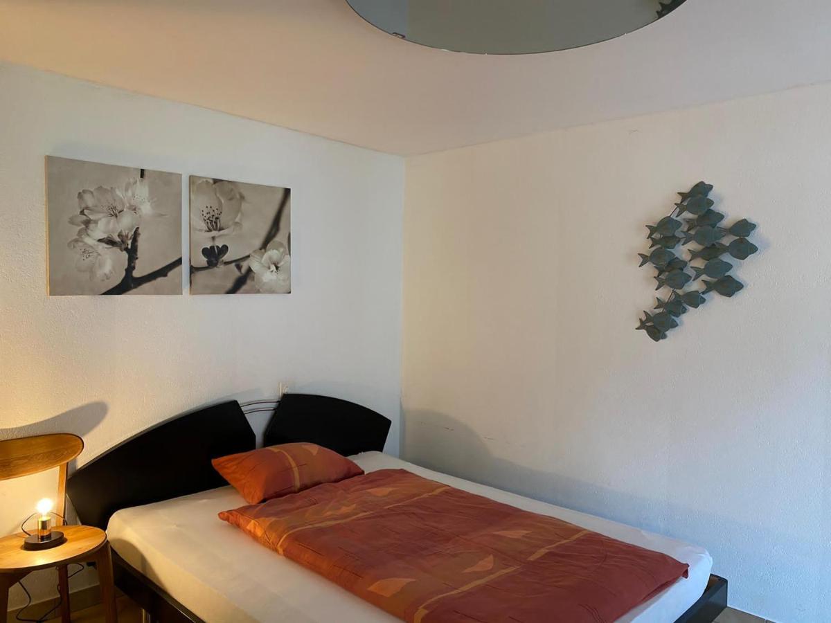 Casa Sibylle Studio - Piccolo Paradiso Minusio エクステリア 写真