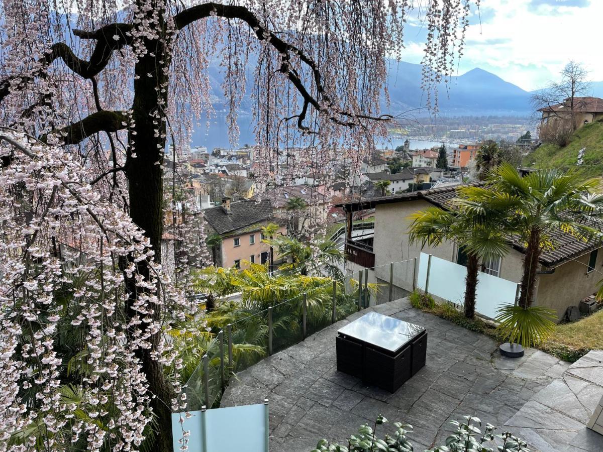 Casa Sibylle Studio - Piccolo Paradiso Minusio エクステリア 写真